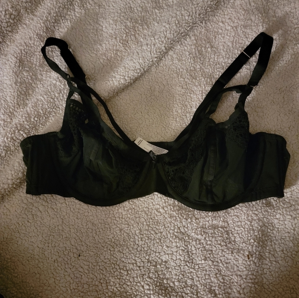 Cacique Bra Sz 40C